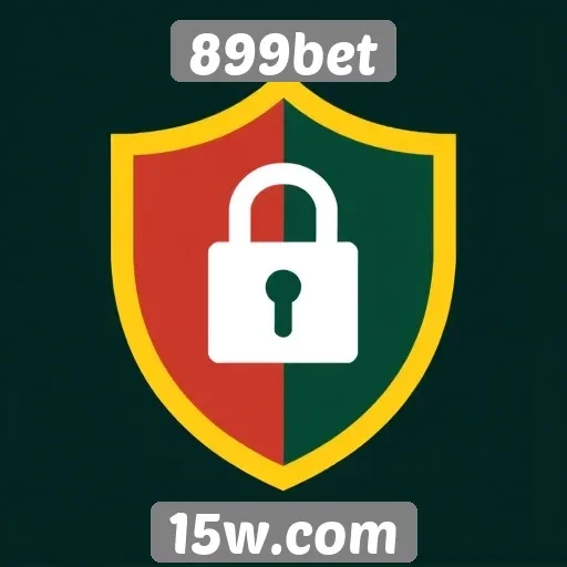 A segurança das transações no site 899bet